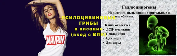 mdpv Волоколамск