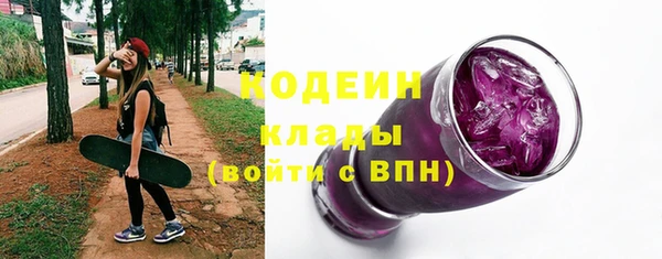 прущий лед Бородино