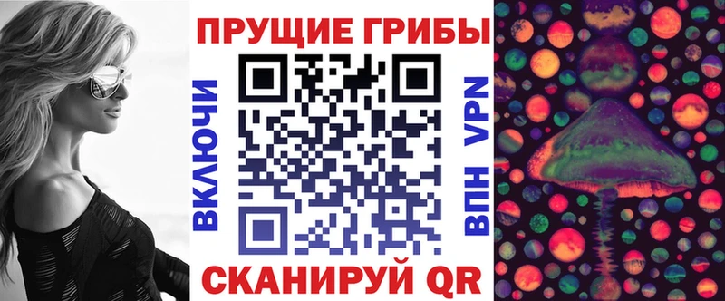 Галлюциногенные грибы Magic Shrooms  сайты даркнета состав  Махачкала  продажа наркотиков 